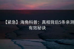 【紧急】海角科普：真相背后5条亲测有效秘诀