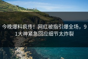 今晚爆料疯传！网红被指引爆全场，91大神紧急回应细节太炸裂