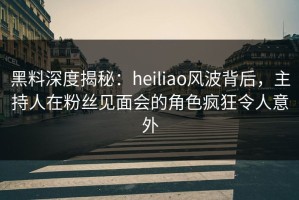 黑料深度揭秘：heiliao风波背后，主持人在粉丝见面会的角色疯狂令人意外
