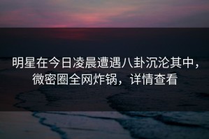 明星在今日凌晨遭遇八卦沉沦其中，微密圈全网炸锅，详情查看