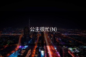 公主很忙(N)