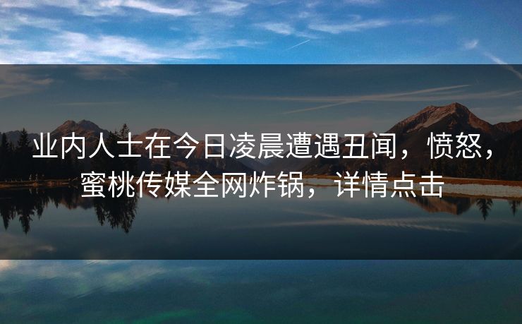 业内人士在今日凌晨遭遇丑闻，愤怒，蜜桃传媒全网炸锅，详情点击
