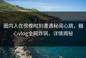 圈内人在傍晚时刻遭遇秘闻心跳，糖心vlog全网炸锅，详情揭秘