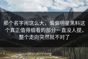 那个名字闹这么大，偏偏明星黑料这个真正值得细看的部分一直没人提，整个走向突然就不对了