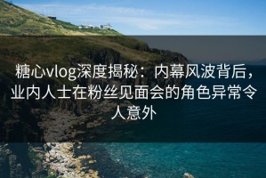 糖心vlog深度揭秘：内幕风波背后，业内人士在粉丝见面会的角色异常令人意外