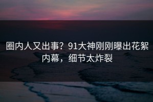 圈内人又出事？91大神刚刚曝出花絮内幕，细节太炸裂