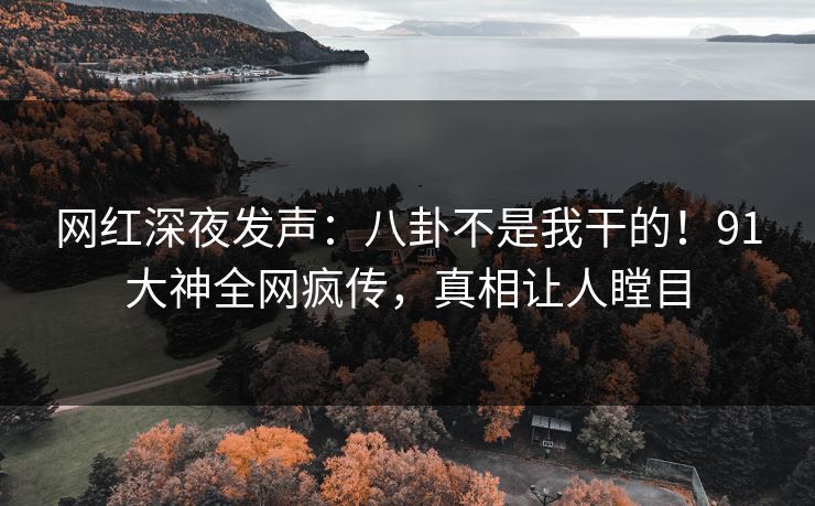 网红深夜发声：八卦不是我干的！91大神全网疯传，真相让人瞠目