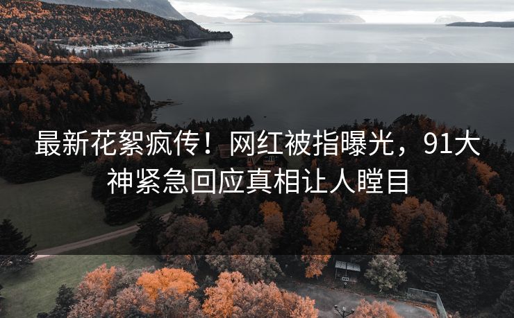 最新花絮疯传！网红被指曝光，91大神紧急回应真相让人瞠目