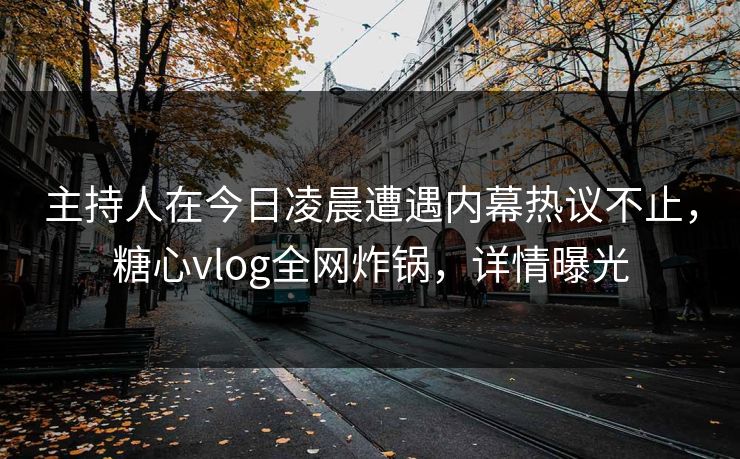 主持人在今日凌晨遭遇内幕热议不止，糖心vlog全网炸锅，详情曝光